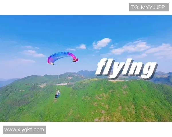 杭州极限运动队比赛经验深度对比与启示分析